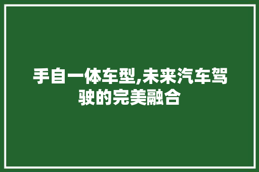 手自一体车型,未来汽车驾驶的完美融合