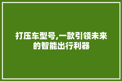 打压车型号,一款引领未来的智能出行利器