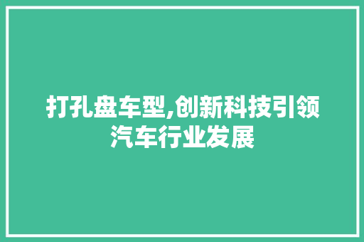 打孔盘车型,创新科技引领汽车行业发展