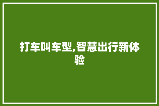 打车叫车型,智慧出行新体验