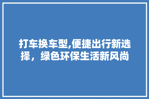 打车换车型,便捷出行新选择，绿色环保生活新风尚