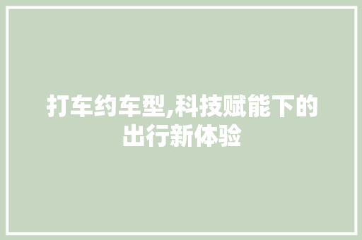 打车约车型,科技赋能下的出行新体验