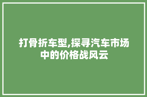 打骨折车型,探寻汽车市场中的价格战风云