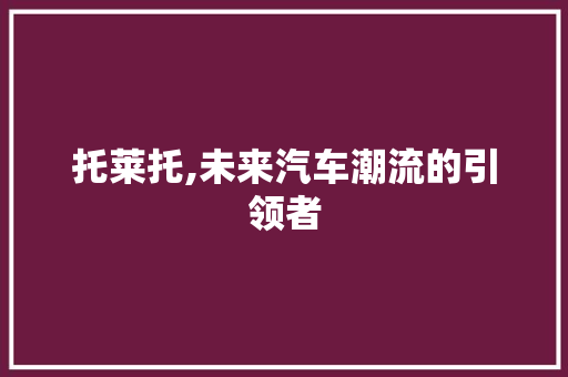 托莱托,未来汽车潮流的引领者 车灯配件