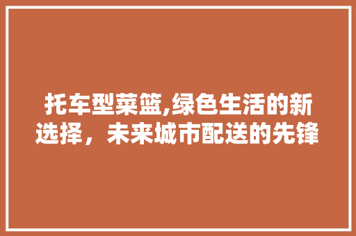 托车型菜篮,绿色生活的新选择，未来城市配送的先锋