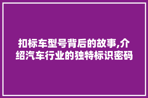 扣标车型号背后的故事,介绍汽车行业的独特标识密码