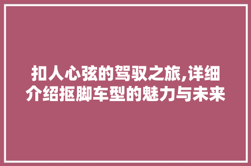 扣人心弦的驾驭之旅,详细介绍抠脚车型的魅力与未来