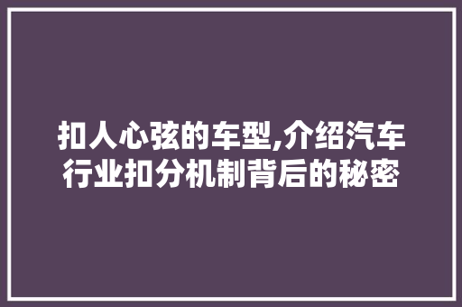 扣人心弦的车型,介绍汽车行业扣分机制背后的秘密