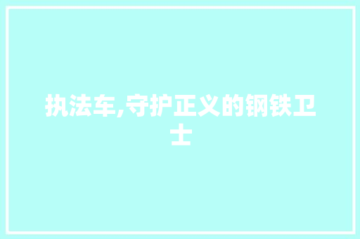 执法车,守护正义的钢铁卫士