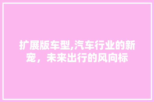 扩展版车型,汽车行业的新宠，未来出行的风向标