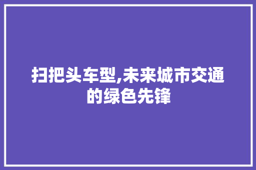 扫把头车型,未来城市交通的绿色先锋 车身配件