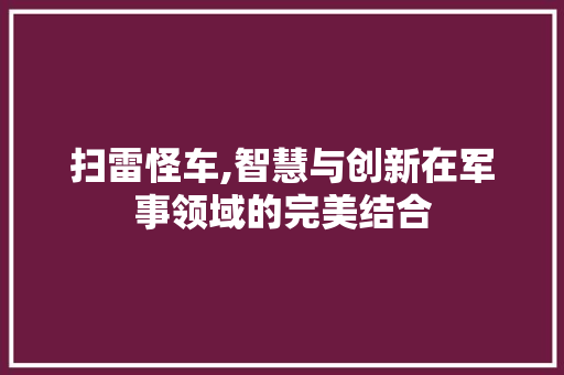 扫雷怪车,智慧与创新在军事领域的完美结合