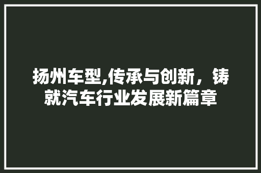 扬州车型,传承与创新，铸就汽车行业发展新篇章