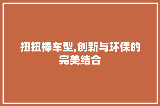 扭扭棒车型,创新与环保的完美结合