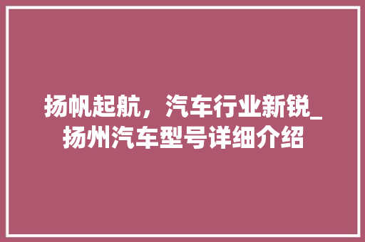 扬帆起航，汽车行业新锐_扬州汽车型号详细介绍