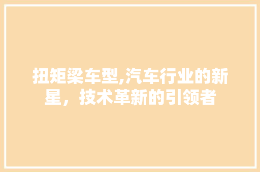 扭矩梁车型,汽车行业的新星，技术革新的引领者