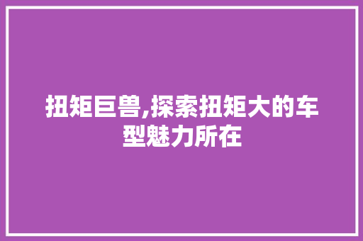 扭矩巨兽,探索扭矩大的车型魅力所在