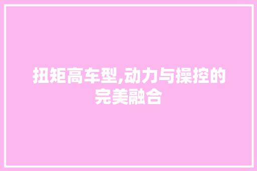 扭矩高车型,动力与操控的完美融合
