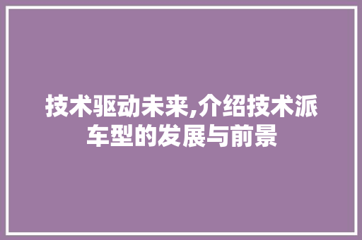 技术驱动未来,介绍技术派车型的发展与前景