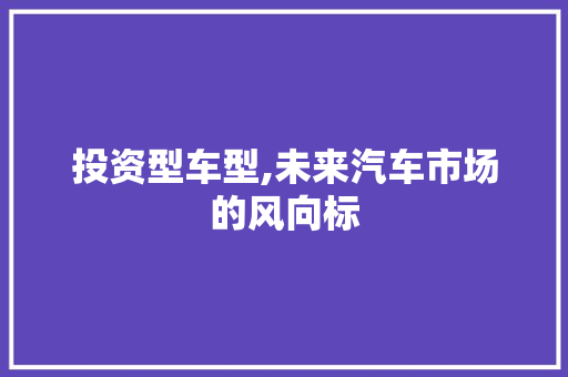 投资型车型,未来汽车市场的风向标
