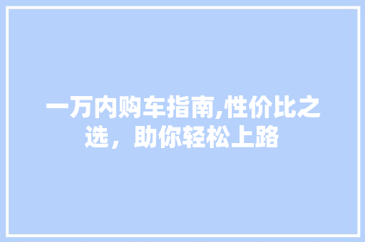 一万内购车指南,性价比之选，助你轻松上路