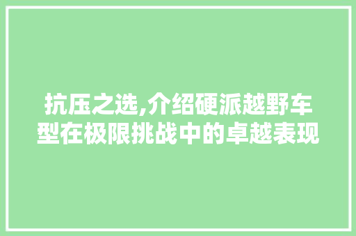 抗压之选,介绍硬派越野车型在极限挑战中的卓越表现