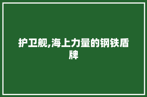 护卫舰,海上力量的钢铁盾牌