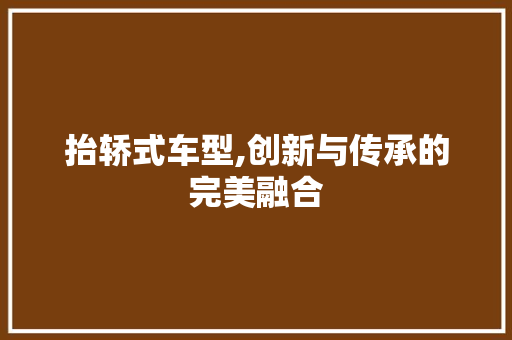 抬轿式车型,创新与传承的完美融合