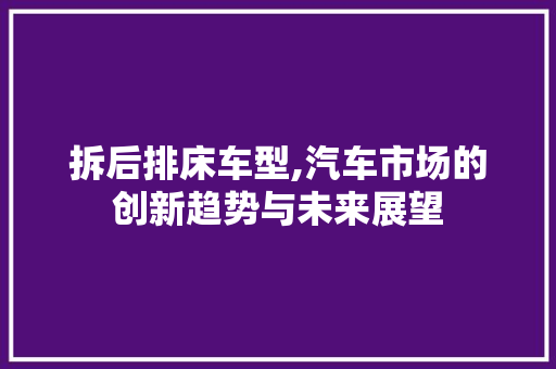 拆后排床车型,汽车市场的创新趋势与未来展望