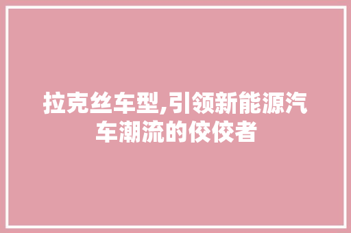 拉克丝车型,引领新能源汽车潮流的佼佼者 蓄电池配件