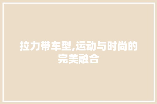拉力带车型,运动与时尚的完美融合