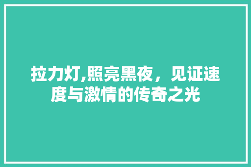 拉力灯,照亮黑夜，见证速度与激情的传奇之光