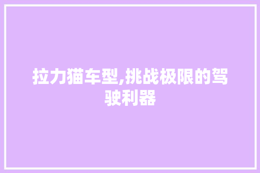 拉力猫车型,挑战极限的驾驶利器
