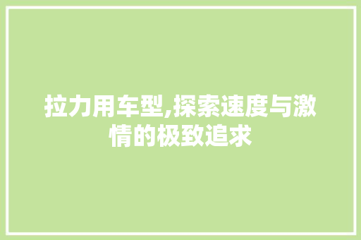 拉力用车型,探索速度与激情的极致追求