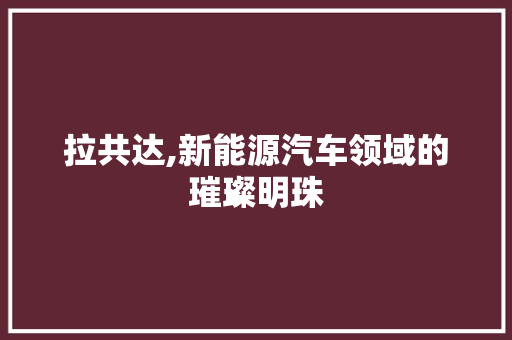 拉共达,新能源汽车领域的璀璨明珠