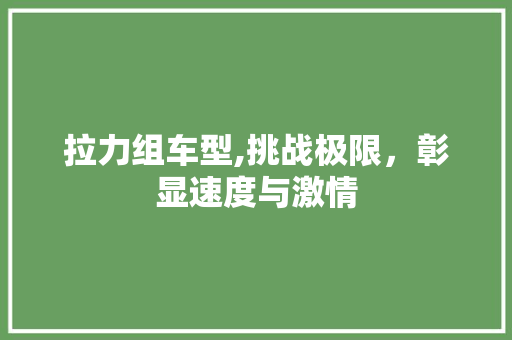 拉力组车型,挑战极限，彰显速度与激情
