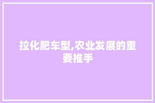 拉化肥车型,农业发展的重要推手