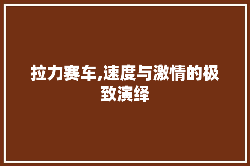 拉力赛车,速度与激情的极致演绎