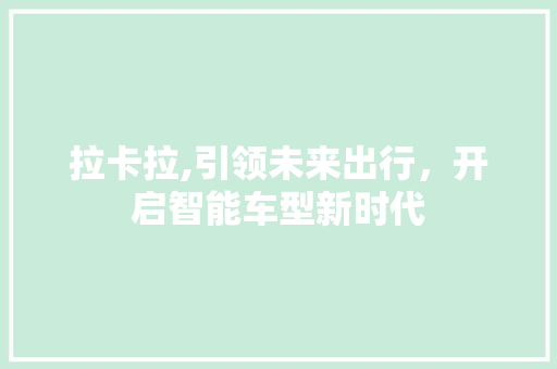 拉卡拉,引领未来出行，开启智能车型新时代
