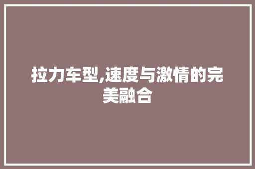 拉力车型,速度与激情的完美融合