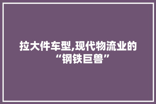 拉大件车型,现代物流业的“钢铁巨兽”