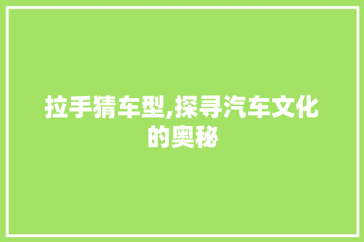 拉手猜车型,探寻汽车文化的奥秘