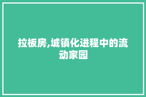 拉板房,城镇化进程中的流动家园