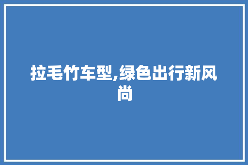 拉毛竹车型,绿色出行新风尚