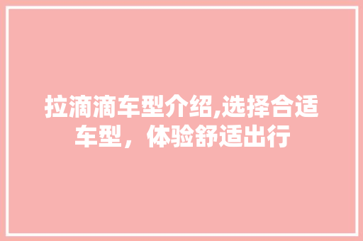拉滴滴车型介绍,选择合适车型，体验舒适出行