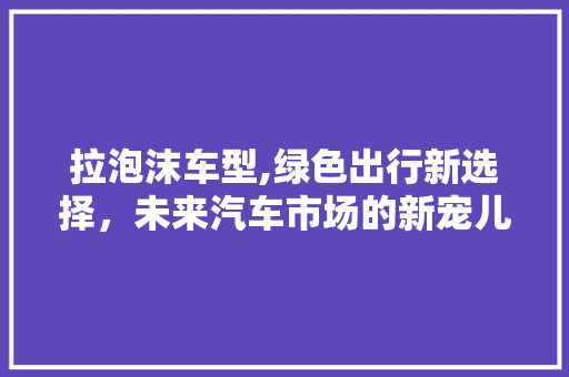 拉泡沫车型,绿色出行新选择，未来汽车市场的新宠儿