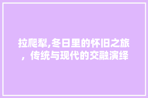 拉爬犁,冬日里的怀旧之旅，传统与现代的交融演绎