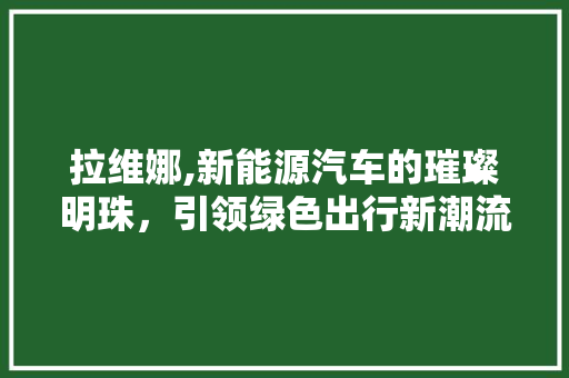 拉维娜,新能源汽车的璀璨明珠，引领绿色出行新潮流