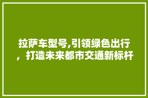 拉萨车型号,引领绿色出行，打造未来都市交通新标杆