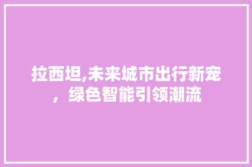 拉西坦,未来城市出行新宠，绿色智能引领潮流